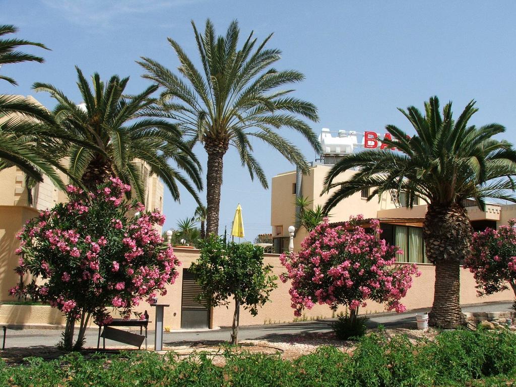 Dimma Seaside Daire *